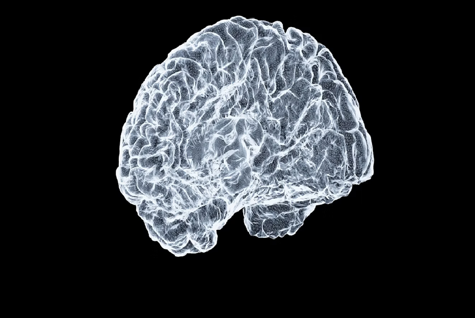 Brain Derived Neurotrophic Factor and Curcumin