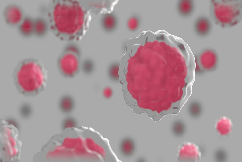 Cancer and Curcumin