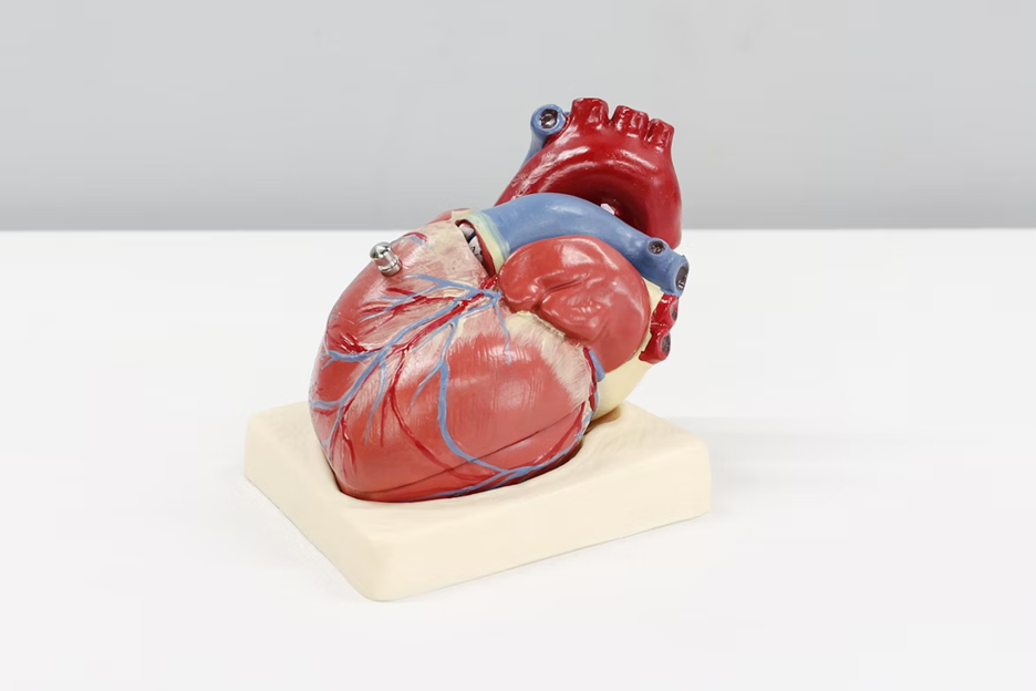 Curcumin and Heart Disease